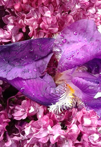 art-therapie-rituels
